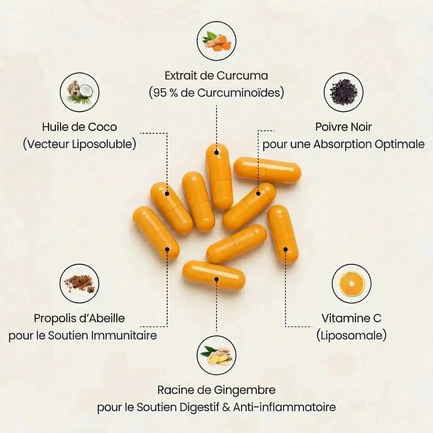 Curcuma Haute Biodisponibilité